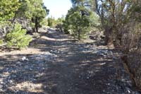 02-Sawmill-reassure_A_waypoint-trail_continues,R_leads_to_camping_area