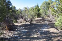03-looking_back,Sawmill-reassure_A_waypoint-trail_continues,L_leads_to_camping_area