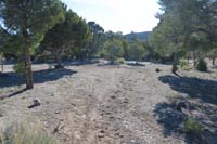 04-offshoot_trail_leads_to_Blue_Tree_camping_area
