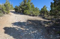 06-Sawmill_13_waypoint-looking_N_to_Pinyon_Pine_trail,R_is_Rocky_Gorge