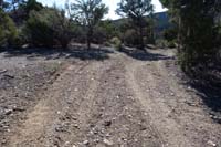 08-fairly_recent_tire_tracks_indicating_trucks_traveling_up_this_area_unfortunately