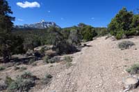 12-looking_back_to_trail_and_snow_covered_Macks_Peak