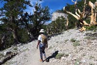 04-Keesha_at_10000_feet_for_first_time_with_Mummy_Toe_in_distance