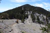 07-scenic_view_along_trail_to_Fletcher_Peak-much_more_defined_than_years_past