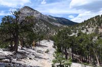 22-view_along_trail_with_Mummy_Toe_in_distance