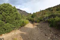04-Step_Ladder_Trail_continues_to_left,west-trail_marker_still_there