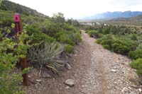 05-Shady_Hollow_Trail_continues_to_right,east-trail_marker_still_there