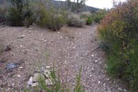 12-connector_trail_to_Tin_Can_Alley_Trail,marked_by_cairn_since_not_too_obvious_here