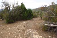 14-leaving_Tin_Can_Alley_Trail_heading_back_to_Telephone_Canyon_Rd
