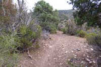15-continuing_back_along_connector_between_Telephone_Canyon_Rd_and_Tin_Can_Alley