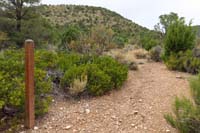 19-looking_up_trail-actually_for_Tin_Can_Alley,should_have_taken_one_to_right_for_Shady_Hollow