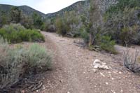 20-continuing_up_Tin_Can_Alley_Trail,should_have_gone_right_for_Shady_Hollow_Trail