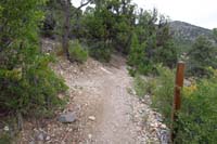 23-ShadyTinCan_N_TJ_from_Shady_Hollow_portion_I_should_have_hiked_from