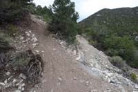 24-fork_in_the_trail-left_is_trail,right_is_damaged,only_100_feet_so_not_worthy_of_documenting