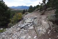 25-looking_back_from_within_that_damaged_false_trail_section