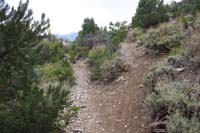 26-looking_back_to_the_mixed_up_fork,right_is_best_path