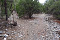 27-new_false_trail_for_about_180_feet_to_right_or_north,real_trail_to_left_or_south