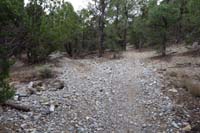 28-looking_back_to_new_false_trail_to_left_or_north,real_trail_to_right_or_south