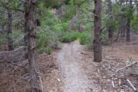 30-tin_can_mounted_on_tree_to_left_indicating_the_Tin_Can_Alley_Trail