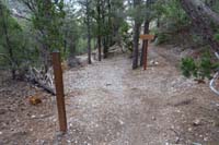 32-looking_back_to_TinCanShady_TJ-heading_up_hill_to_right_for_Shady_Hollow_leading_to_Atomic_Duck-Adam_Bomb