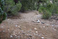 37-looking_east_to_the_connector_for_the_irrelevant_usage_trail_for_50_feet
