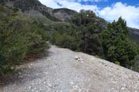 41-looking_back_to_ShadyLink_TJ-Shady_Hollow_to_R_and_behind,Link_Trail_to_L_and_behind-going_L