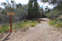 48-HikeABike_TH_looking_S_to_Link_Trail_and_Tin_Can_Alley_TH