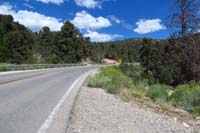 52-TelefnCynRd_TH_looking_N_along_Deer_Creek_Rd