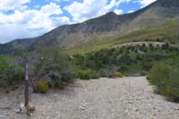 56-scenic_with_with_unclear_trail_marker