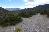 57-scenic_view_along_Step_Ladder_Trail_heading_south