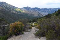 59-scenic_view_heading_south_with_distant_fall_colors,water_access_ahead
