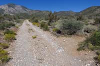 05-TinCanAlley_WP-veer_north_to_continue_on_the_trail