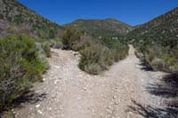 07-TinCanTelePhn_TJ-junction_with_Telephone_Canyon_Rd,continue_left_for_Tin_Can_Alley_Trail