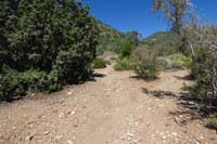 08-looking_back-left_is_Tin_Can_Alley_Trail,right_is_Telephone_Canyon_Rd