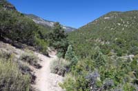 09-scenery_along_the_trail_soon_after_last_waypoint