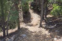 14-steep_portion_of_trail_with_loose_rocks,best_for_downhill_since_steep_with_loose_sections