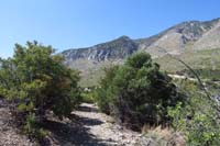 15-trail_levels_out_with_nice_scenic_views
