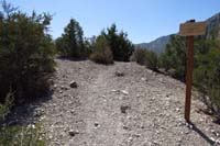 17-Step_Shady_TJ_looking_towards_connector_trail_up_to_left