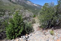 20-faint_social_trail_with_cairns,but_hard_to_follow_so_no_need_for_map_inclusion
