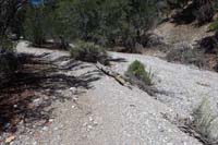 25-section_where_Tin_Can_Alley_Trail_and_Telephone_Canyon_Rd_are_very_close_to_each_other,but_no_intersection