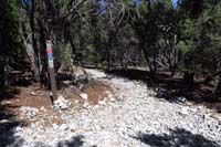 30-LinkDRTinCan Cnt_TJ_looking_towards_connector_to_Tin_Can_Alley_I_came_from_and_returning