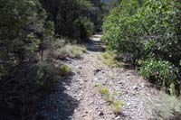 43-looking_uphill_to_dirt_road_connector_to_Tin_Can_Alley
