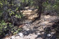 44-looking_S_to_minor_connector_to_Tin_Can_Alley_Trail,TinCanTrough_WP