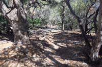 48-looking_at_Tin_Can_Alley_Trail_downhill