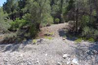 52-looking_S_to_connector_to_dirt_road_and_Tin_Can_Alley