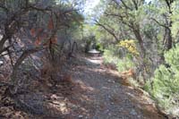 55-heading_uphill_via_old_dirt_road_connector_to_Link_Trail