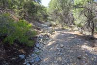 56-one_of_a_few_sections_effected_by_flood_last_year,but_again_not_bad