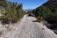 65-scenery_along_road_including_La_Madre_Mt_in_distance_with_it's_landslide_scar