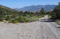 66-new_official_trail_marker_spotted_to_left