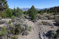 68-trail_is_defined,but_a_little_faint